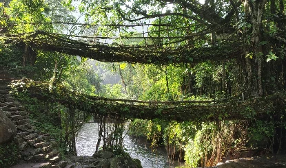 Offbeat Destinations for Monsoon: भीड़भाड़ से दूर घूमना है? Meghalaya, Nagaland और Arunachal के इन खूबसूरत गांवों को करें एक्सप्लोर