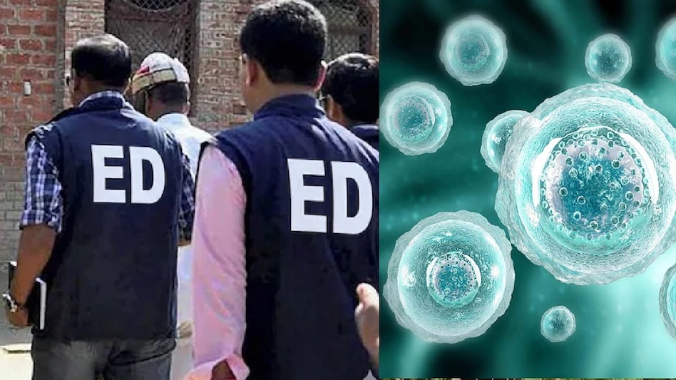 महिलाओं के शरीर का सौदा! ह्यूमन एग की अवैध बिक्री का खुलासा, 40 से ज्यादा महिलाओं के शोषण का शक